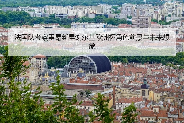 法国队考察里昂新星谢尔基欧洲杯角色前景与未来想象