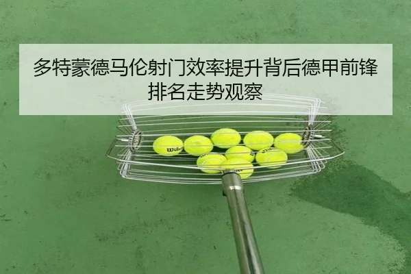 duo-te-meng-de-ma-lun-she-men-xiao-lv-ti-sheng-bei-hou-de-jia-qian-feng-pai-ming-zou-shi-guan-cha-2-437.jpg